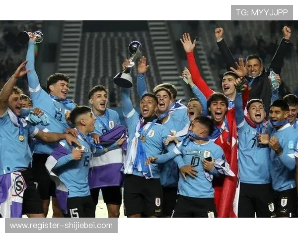 世界杯韩国对乌拉圭比赛结果及赛后球员表现全面总结