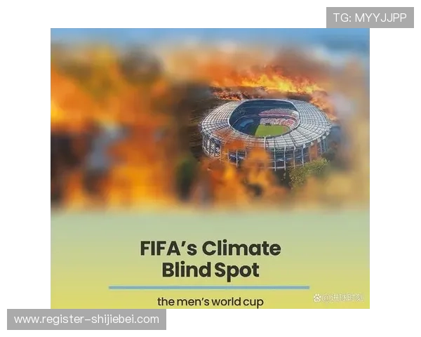 2026年世界杯举办国家的安全措施与观众体验提升方案